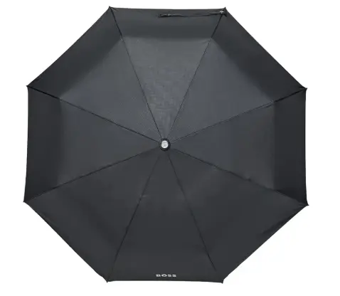 Capture d’écran 2025-09-30 à 14.36.22.webp