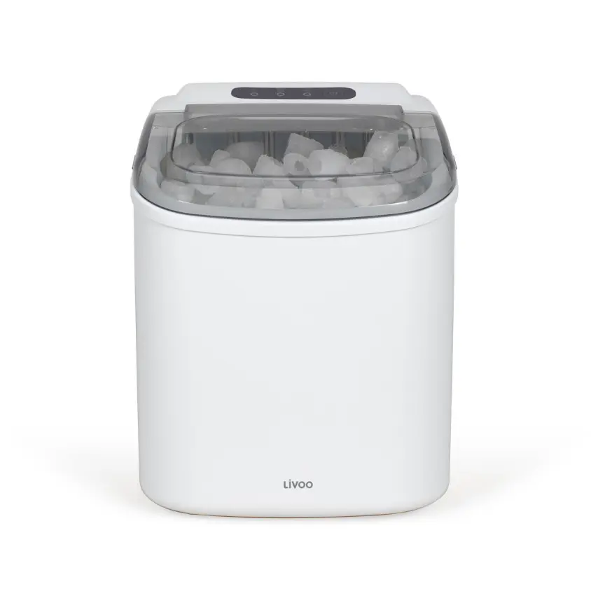 Défroisseur vapeur compact