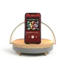 Enceinte LED chargeur induction