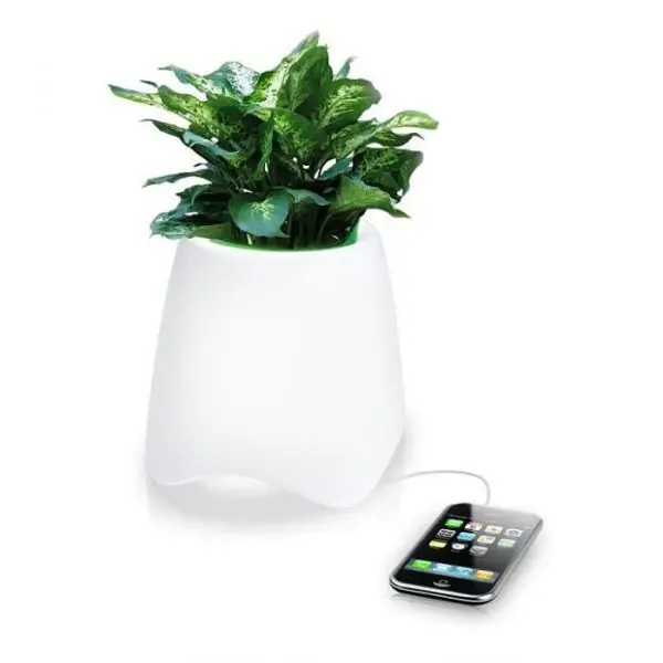 LUMIÈRE D'AMBIANCE MULTICOLORE AVEC POT DE FLEUR